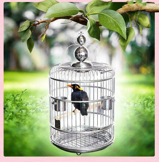 Vintage-inspired stainless steel bird cage for Kiwi homes, providing ample space and elegant design for pet birds