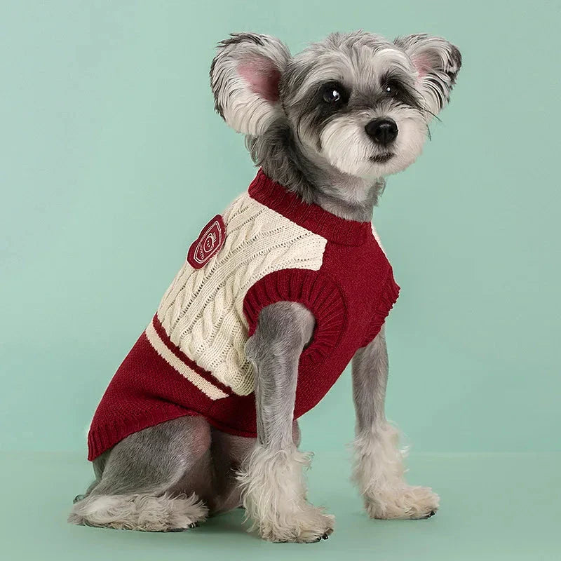 Cozy and stylish college-inspired pet sweater for small to medium-sized dogs in New Zealand