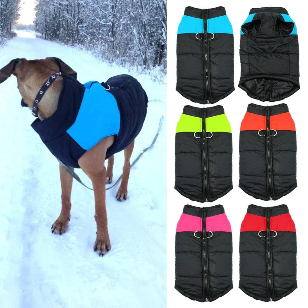 A durable, insulated, and reflective waterproof winter vest for dogs, designed to keep Kiwi pups warm and dry during outdoor activities in New Zealand.