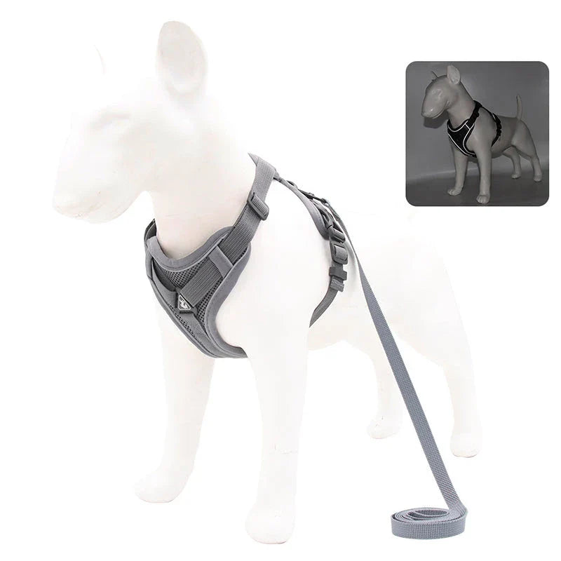 Adjustable Reflective No-Pull Dog Harness and Leash Set for Small to Medium Kiwi Dogs