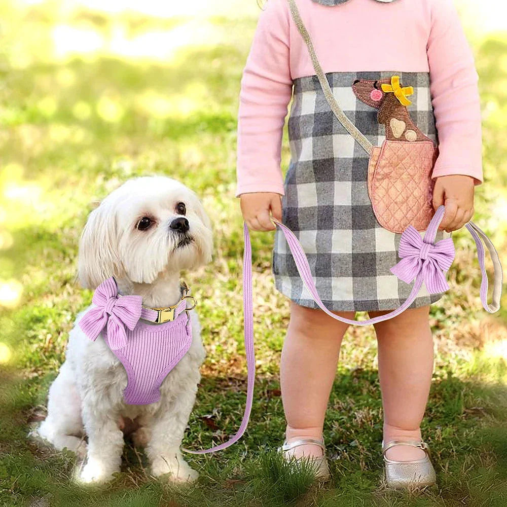 Adjustable mesh dog collar harness and leash set with cute bowknot design, available in various colors for small to medium-sized dogs