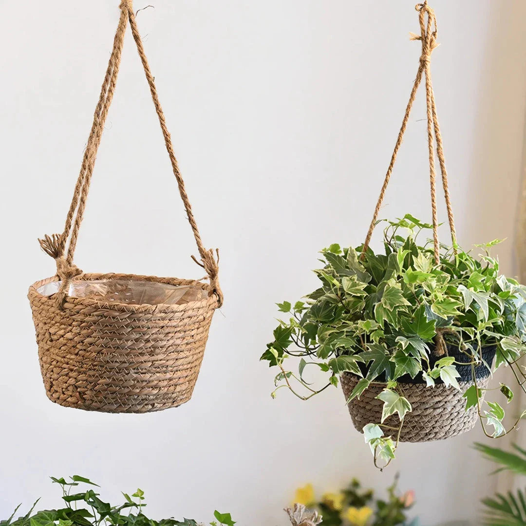 Stylish jute rope hanging planter basket in gray, perfect for adding natural, bohemian charm to Kiwi homes and gardens