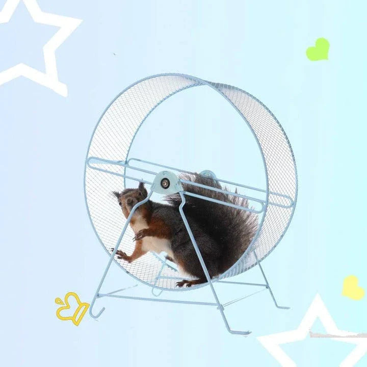 Sturdy metal exercise wheel for small pets like guinea pigs, hamsters, and gerbils, featuring a durable design and compact size for indoor use.