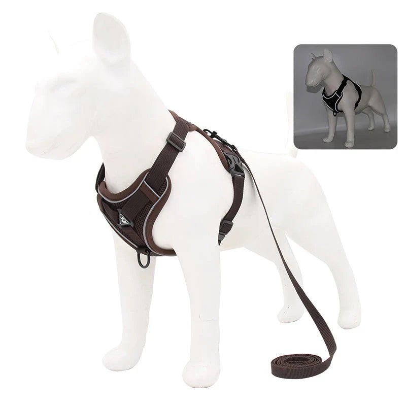 Adjustable Reflective No-Pull Dog Harness and Leash Set for Small to Medium Kiwi Dogs