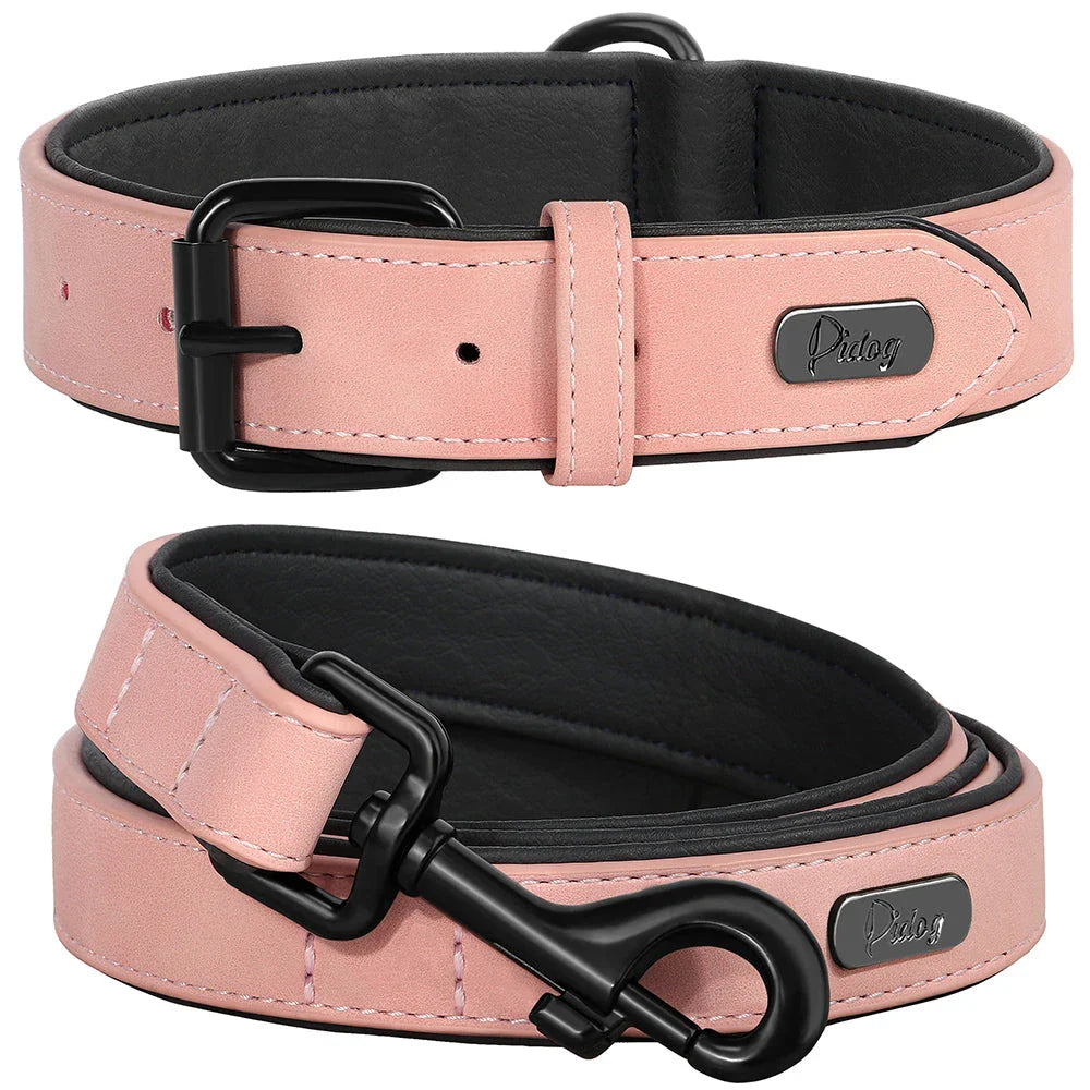 Robust padded dog collar and leash set made of high-quality leather in vibrant colours for active Kiwi pups