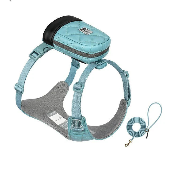 Eco-friendly pet harness set with adjustable leash and poop bag holder, designed for comfortable and sustainable outdoor adventures with your furry companion.