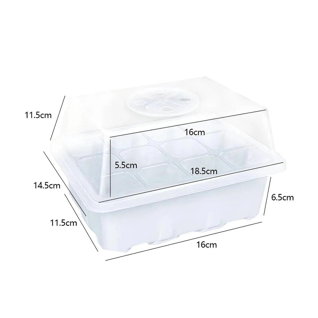 A transparent 12-cell seedling tray with a humidity dome and drainage holes, perfect for growing a variety of plants from seeds.
