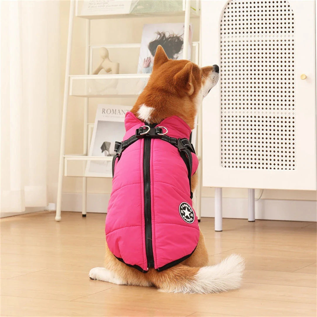 A stylish and practical waterproof dog coat with a built-in harness, designed to keep your pet warm, dry, and safe during outdoor activities.