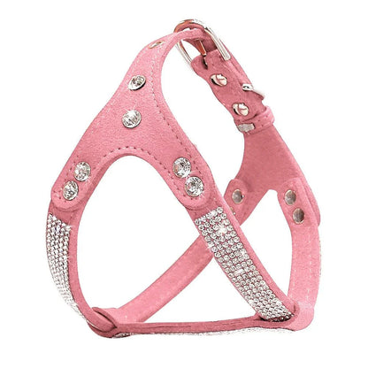 Fashionable leather dog harness with rhinestone accents, designed for stylish Kiwi canines