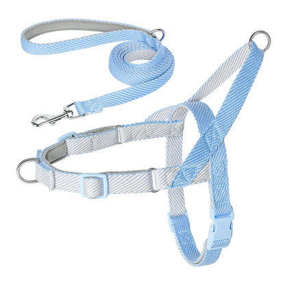 Adjustable no-pull dog harness and leash set in various colours, perfect for comfortable and controlled walks with your Kiwi pup