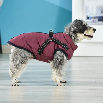 A stylish and practical waterproof dog coat with a built-in harness, designed to keep your pet warm, dry, and safe during outdoor activities.