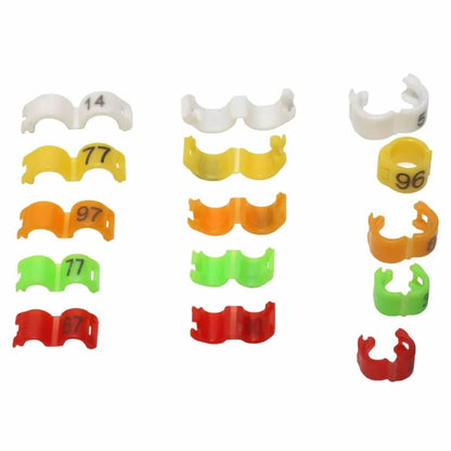 Colorful clip-on rings in various sizes for birds, made from lightweight, eco-friendly plastic materials.