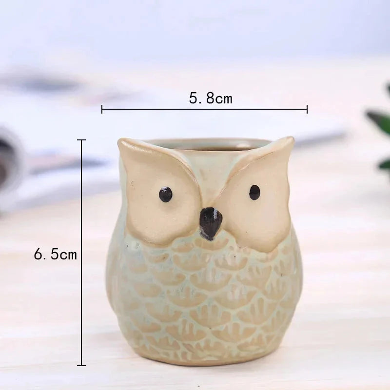 Charming mini owl-shaped ceramic plant pots in various colours, perfect for adding a unique touch to your Kiwi home or garden.