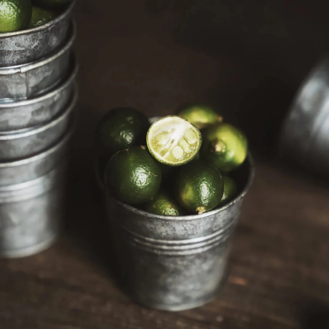 Vintage-inspired metal beverage cup with a charming wrought iron handle, perfect for serving desserts, fruits, and snacks