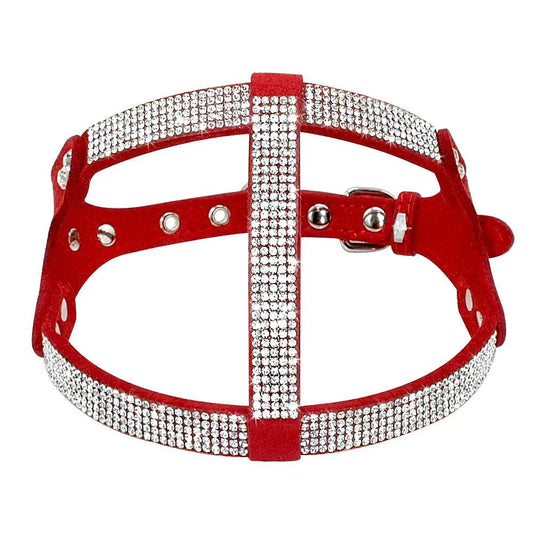 Fashionable leather dog harness with rhinestone accents, designed for stylish Kiwi canines