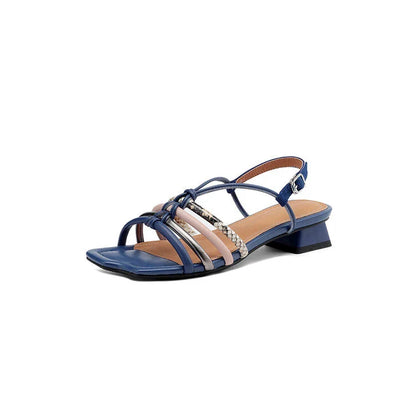 Vibrant Roman-inspired sandals with chunky heel, showcasing a stylish and comfortable summer footwear option