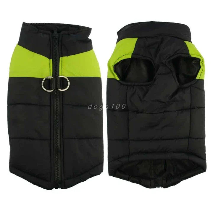 A durable, insulated, and reflective waterproof winter vest for dogs, designed to keep Kiwi pups warm and dry during outdoor activities in New Zealand.