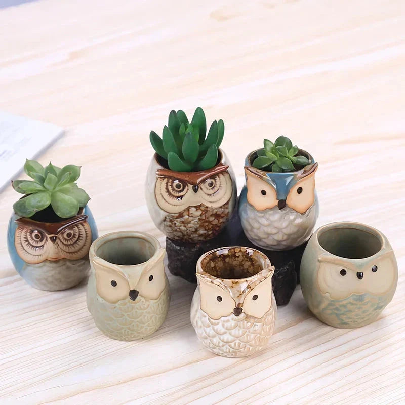 Charming mini owl-shaped ceramic plant pots in various colours, perfect for adding a unique touch to your Kiwi home or garden.