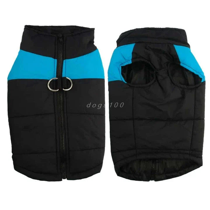 A durable, insulated, and reflective waterproof winter vest for dogs, designed to keep Kiwi pups warm and dry during outdoor activities in New Zealand.