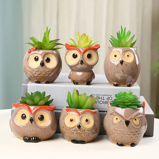 Charming Owl Ceramic Planter, a beautiful and adorable addition to Kiwi homes and offices