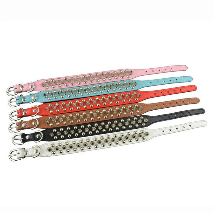 Stylish PU leather pet collar in various sizes, perfect for Kiwi pups and cats of all breeds