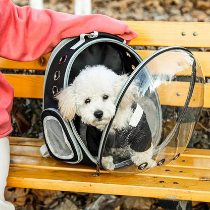 Expandable pet carrier backpack with transparent walls, allowing pets to enjoy the view during travel