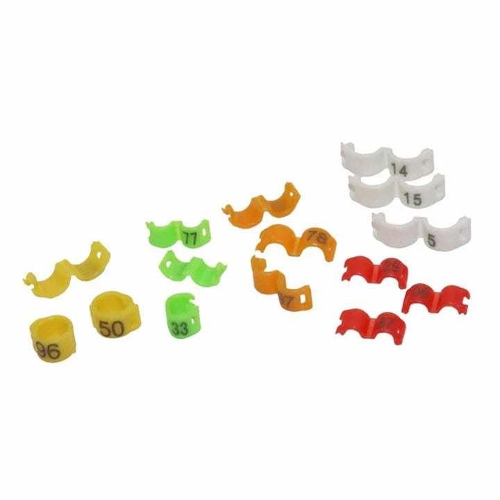 Colorful clip-on rings in various sizes for birds, made from lightweight, eco-friendly plastic materials.