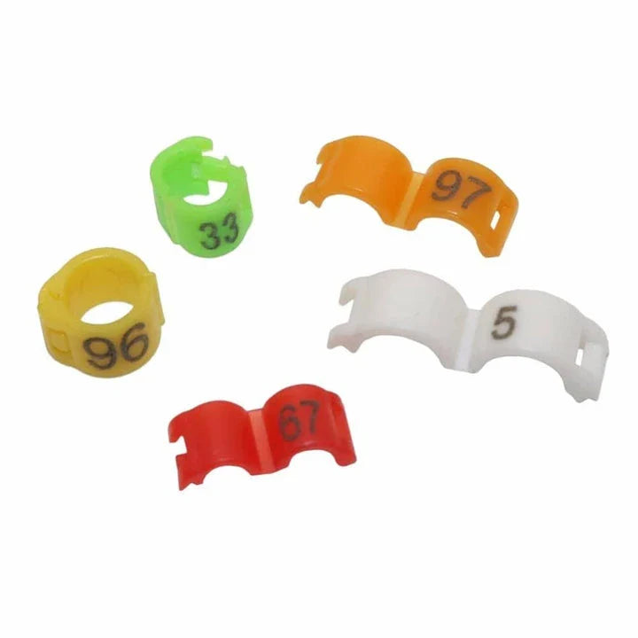 Colorful clip-on rings in various sizes for birds, made from lightweight, eco-friendly plastic materials.