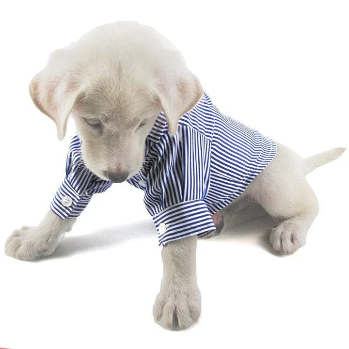 Comfortable and casual striped dog shirt made of soft, breathable Dacron fabric with easy button closure