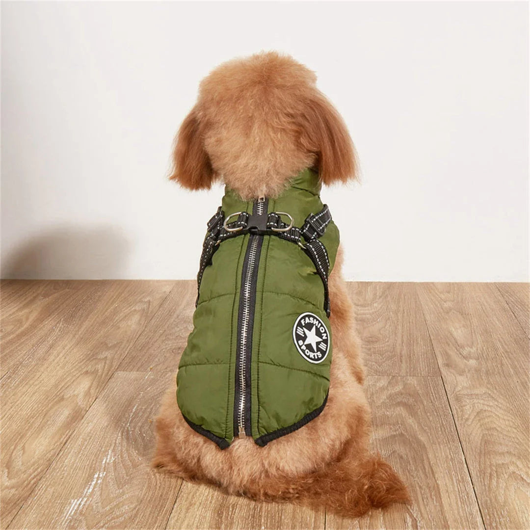 A stylish and practical waterproof dog coat with a built-in harness, designed to keep your pet warm, dry, and safe during outdoor activities.