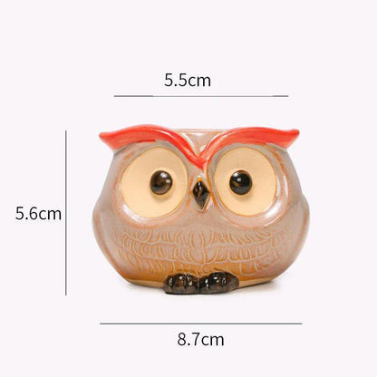 Charming Owl Ceramic Planter, a beautiful and adorable addition to Kiwi homes and offices