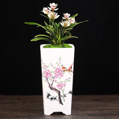 Stylish square ceramic planter in white, suitable for growing asparagus fern, orchids, and herbs on balconies or patios.