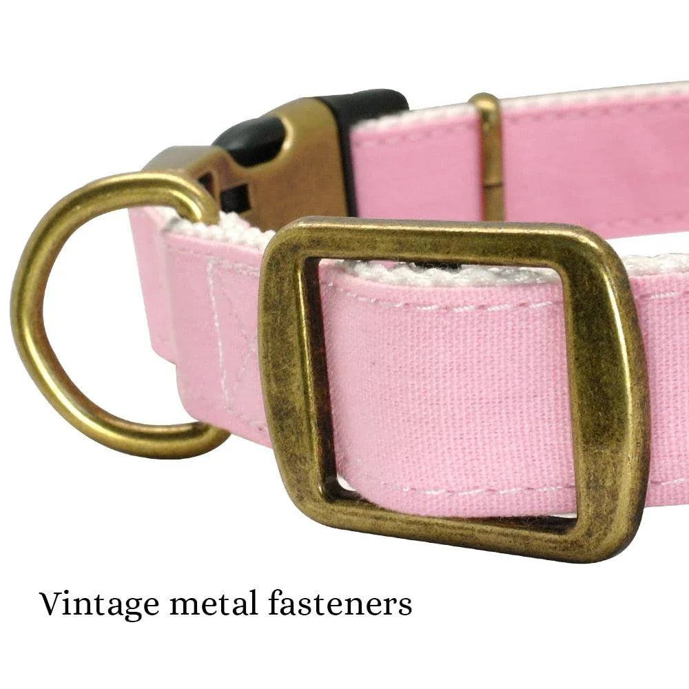 Vibrant pastel dog collar made of premium nylon with adjustable sizing to fit Kiwi pups of all shapes and sizes