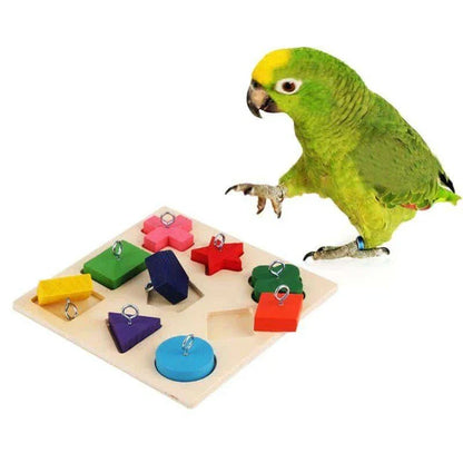 Kōwhai Bird Block Toy - Sustainably crafted wooden educational blocks with vibrant illustrations of native New Zealand birds