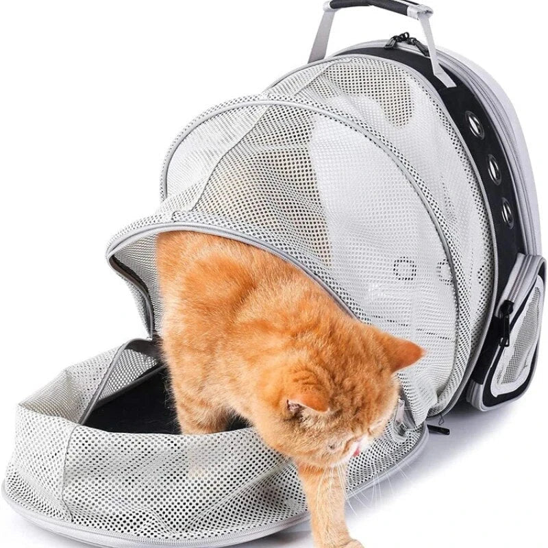 Expandable pet carrier backpack with transparent walls, allowing pets to enjoy the view during travel