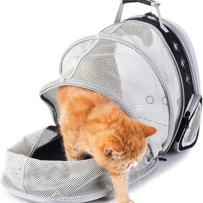 Expandable pet carrier backpack with transparent walls, allowing pets to enjoy the view during travel