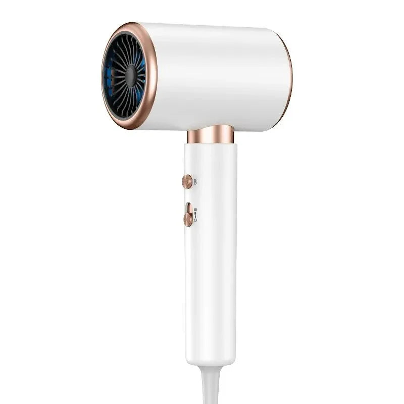 A white 2200W professional ionic hair dryer with multiple settings and a concentrator nozzle for salon-quality blowouts