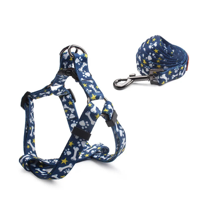 Adjustable No-Pull Dog Harness and Leash Set in Blue - Premium Kiwi-Inspired Gear for Comfortable, Controlled Walks