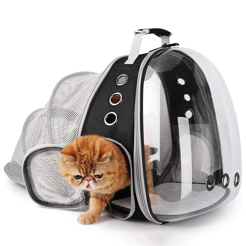 Expandable pet carrier backpack with transparent walls, allowing pets to enjoy the view during travel