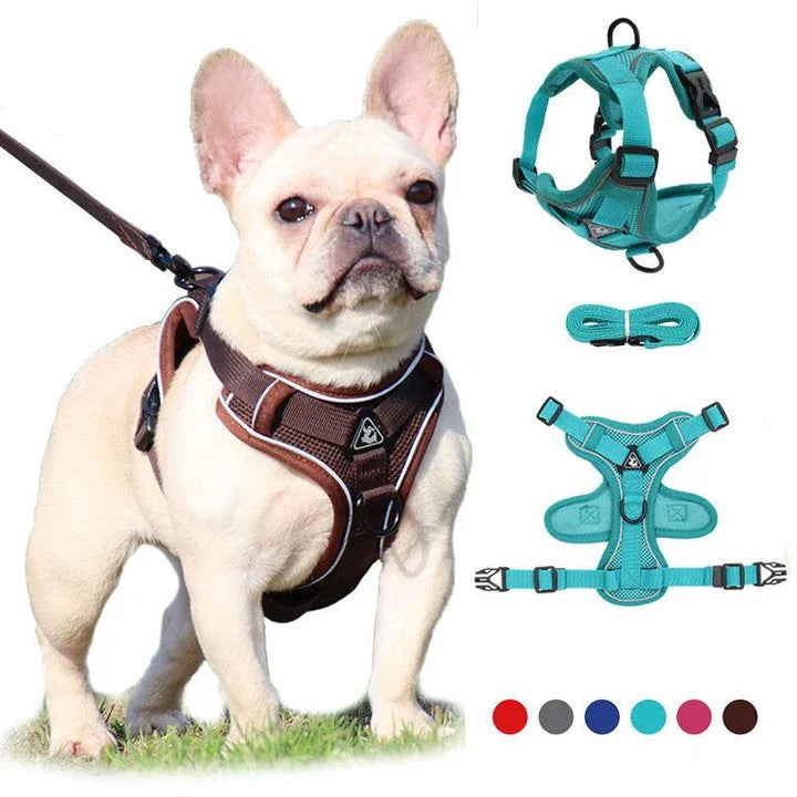 Adjustable Reflective No-Pull Dog Harness and Leash Set for Small to Medium Kiwi Dogs