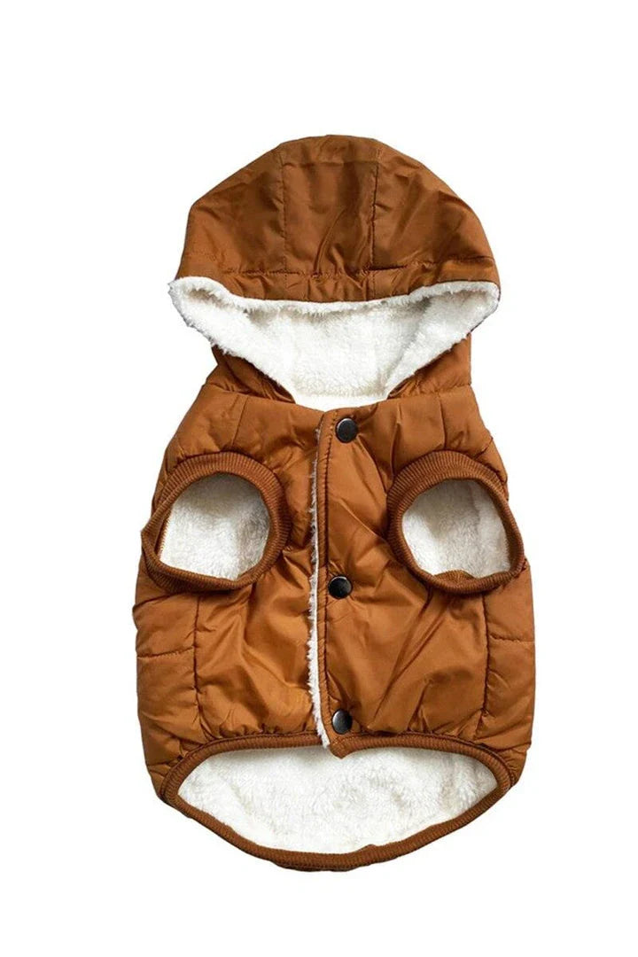 A cozy puffer jacket designed to keep Kiwi cats warm and comfortable during the colder months.