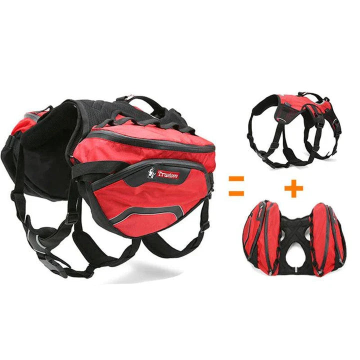 Premium waterproof outdoor backpack harness for dogs, designed for active Kiwi canine adventures