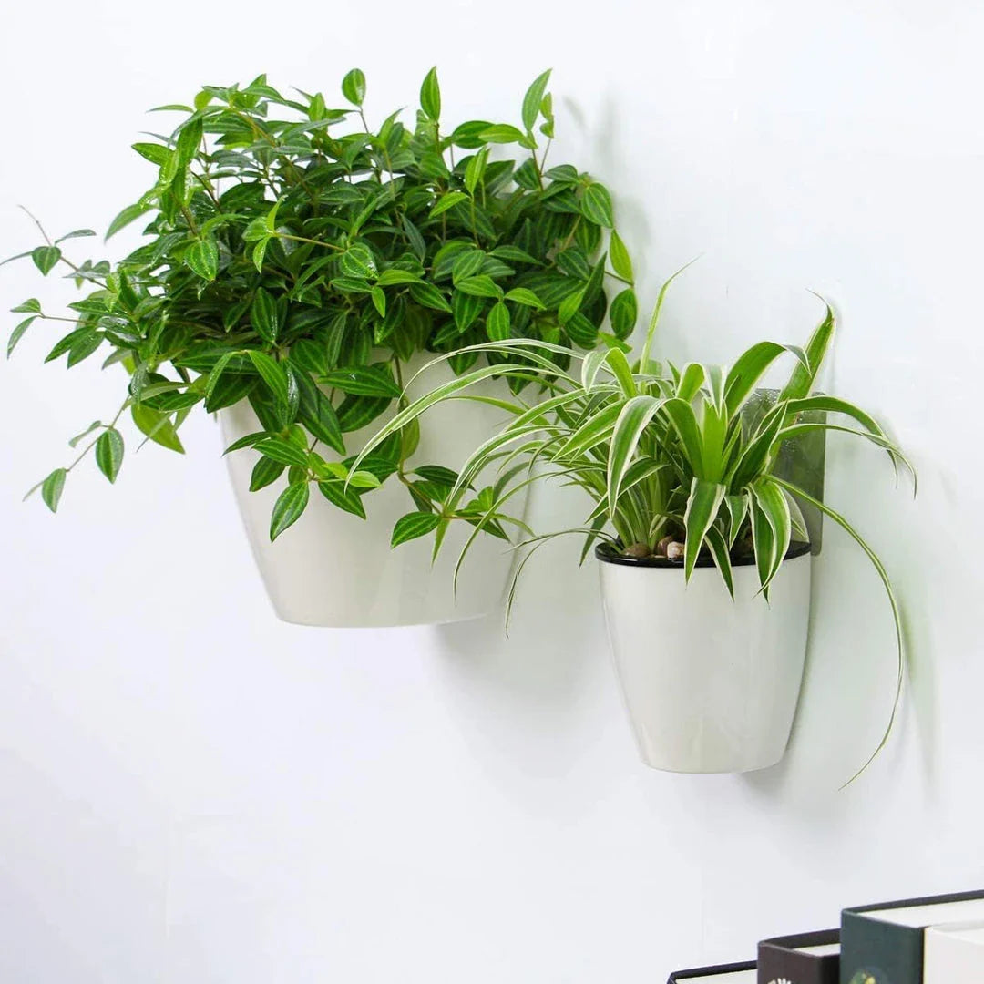 Sleek, wall-mounted hydroponic planter with vertical design, dual-basket system, and automatic watering for easy indoor gardening in New Zealand homes and offices.