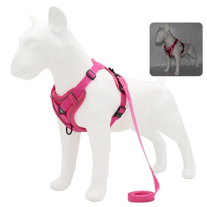 Adjustable Reflective No-Pull Dog Harness and Leash Set for Small to Medium Kiwi Dogs