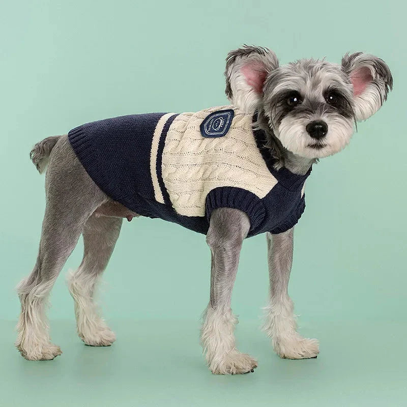 Cozy and stylish college-inspired pet sweater for small to medium-sized dogs in New Zealand