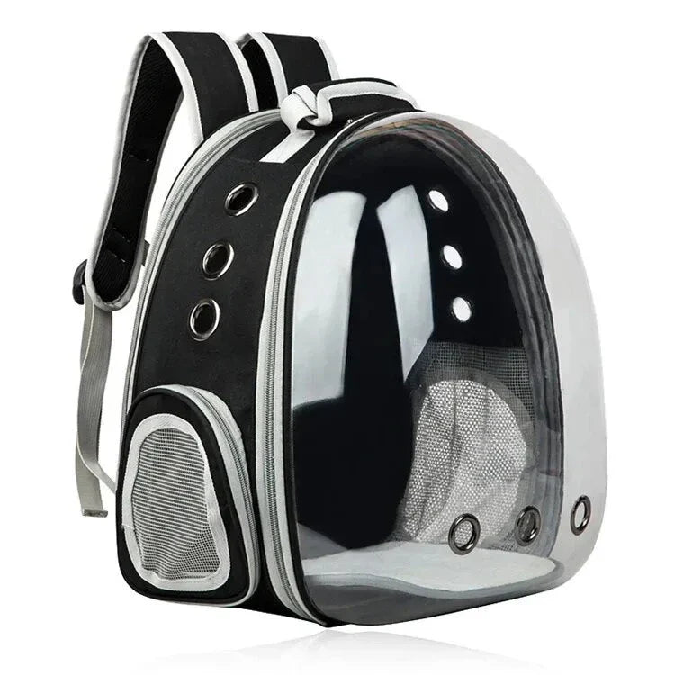 Expandable pet carrier backpack with transparent walls, allowing pets to enjoy the view during travel