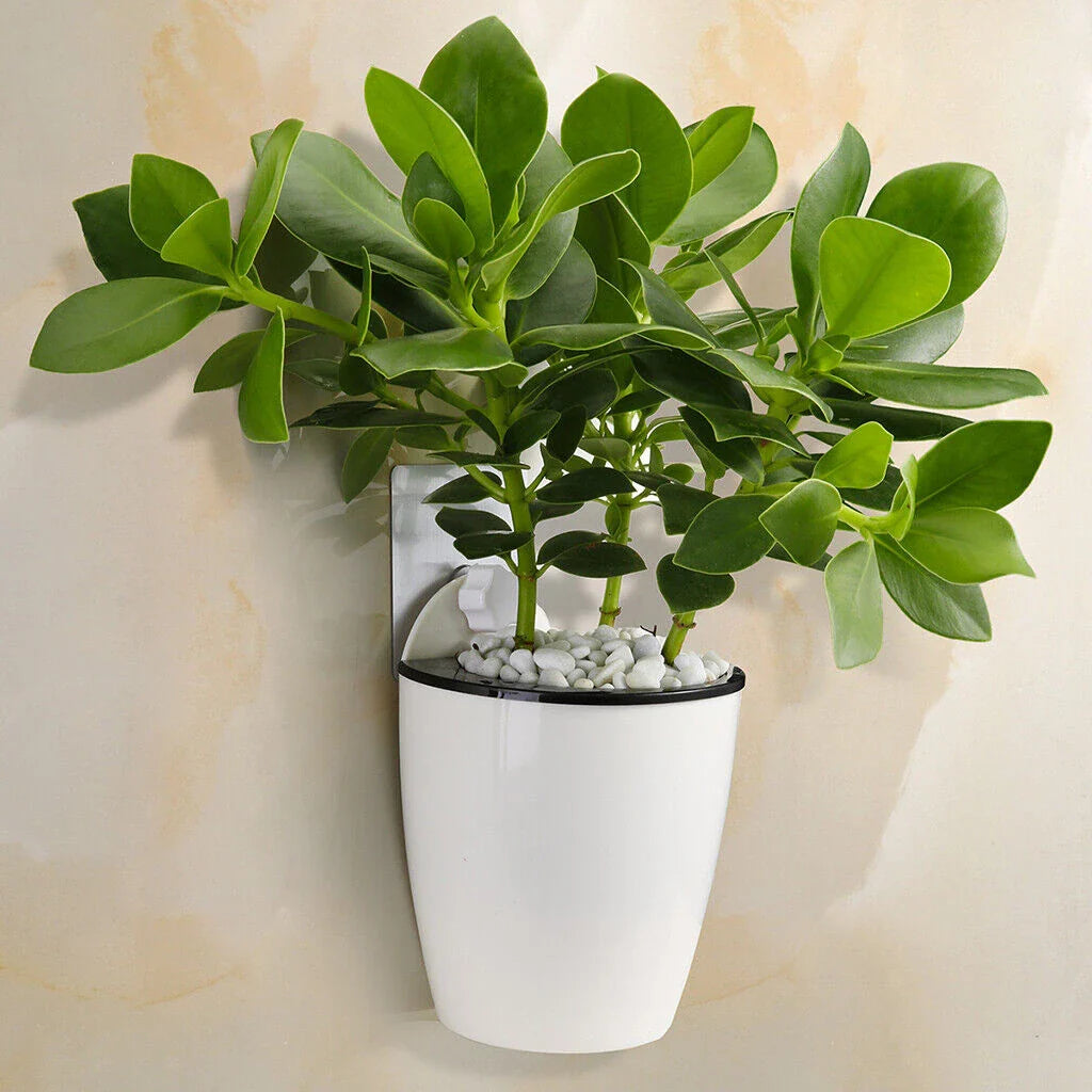 Sleek, wall-mounted hydroponic planter with vertical design, dual-basket system, and automatic watering for easy indoor gardening in New Zealand homes and offices.