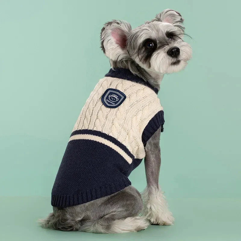 Cozy and stylish college-inspired pet sweater for small to medium-sized dogs in New Zealand