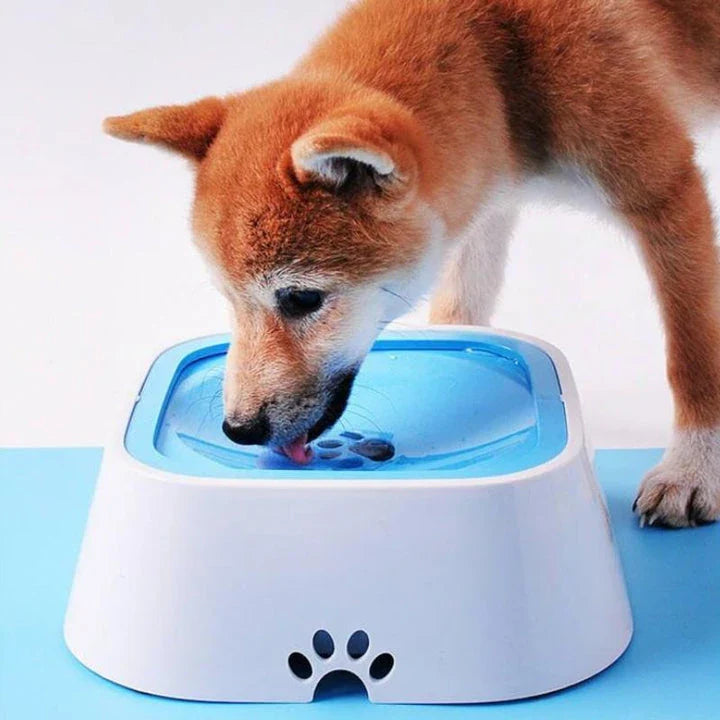 Innovative 1.5L square pet water bowl with splash-proof design, perfect for active Kiwi pets