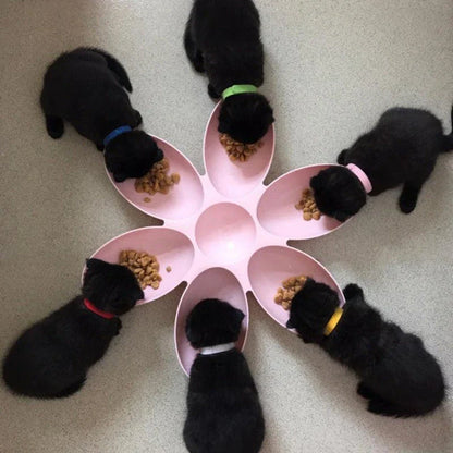 A blue silicone 6-in-1 feeding bowl for puppies and kittens, designed with a large 42 cm diameter for multiple pets.